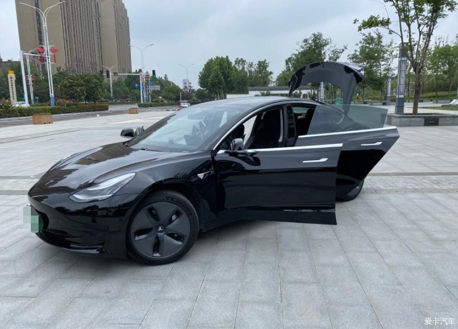 model3提车作业年轻女车主结缘特斯拉毛豆3