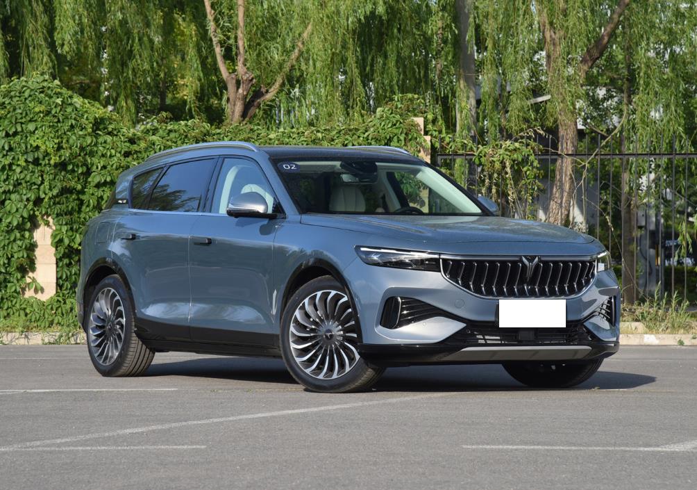 3系车主转投新能源SUV，理想L7和岚图FREE谁更适合他？