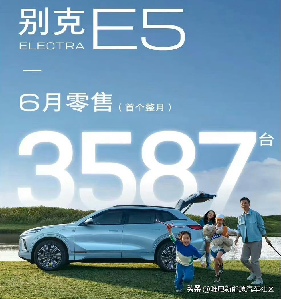 别克E4/E5车主终于能享受到外放电了！官方商城已推出专用放电枪