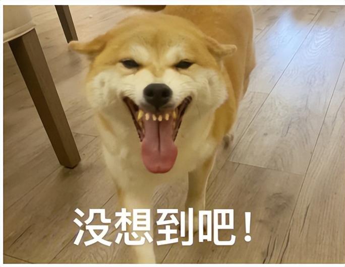 沃尔沃S60安全性能为您带来安全出行的信心与保障