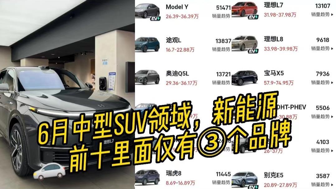6月销量榜，理想不负众望依旧榜单前二，宝马X5魏牌蓝山紧随其后