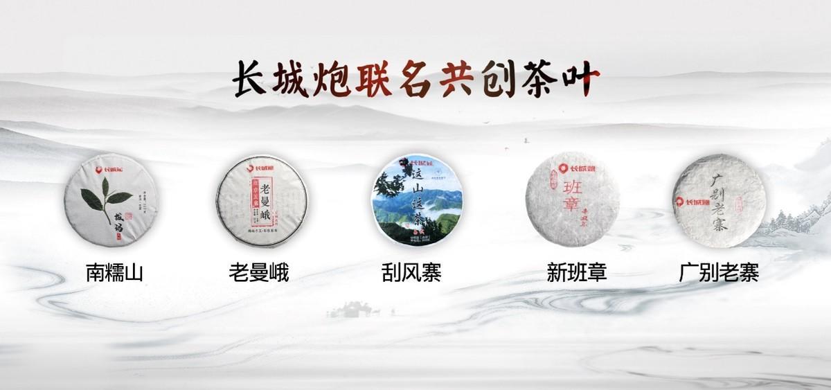 只为西南用户需求定制，长城炮再添定制版车型