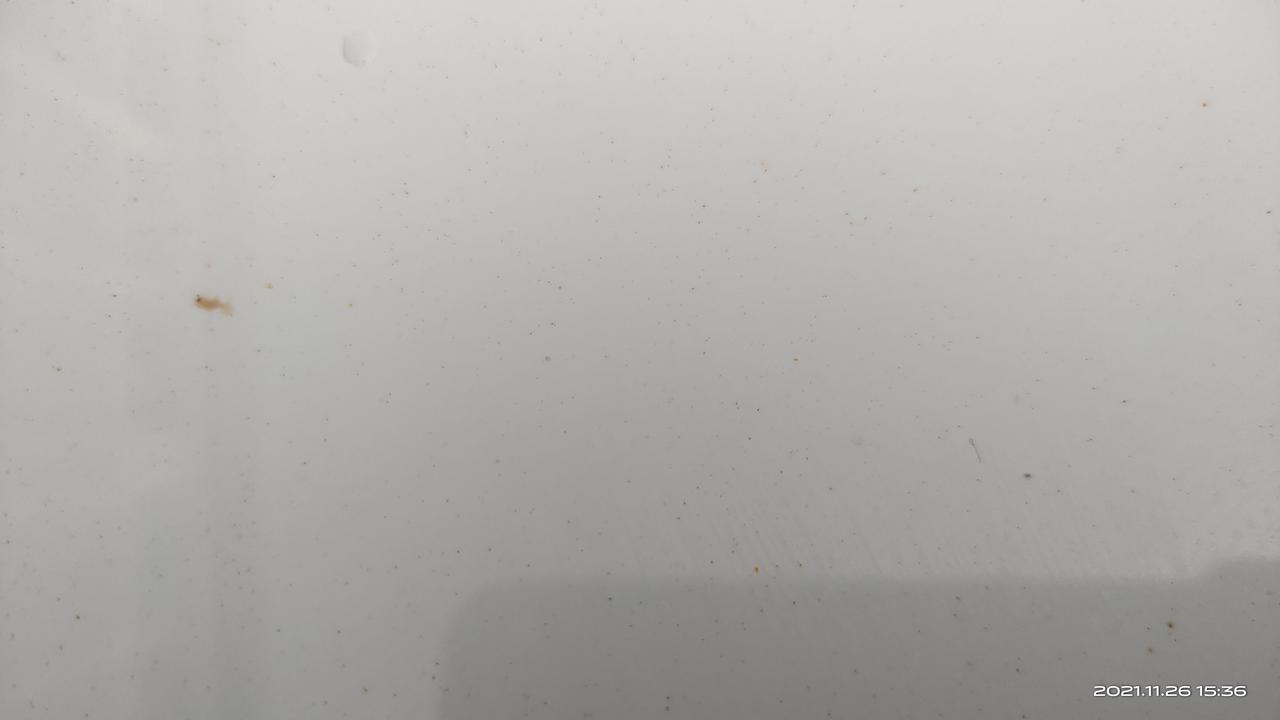 领克03 一年不到车漆都是这样的黄点点！摸着粗糙的很！有和我一样的吗？