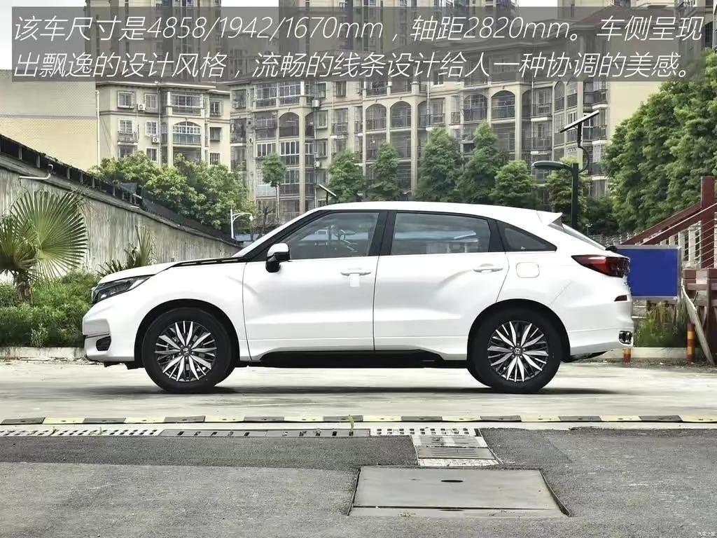 揽巡一出？冠道怎么办？