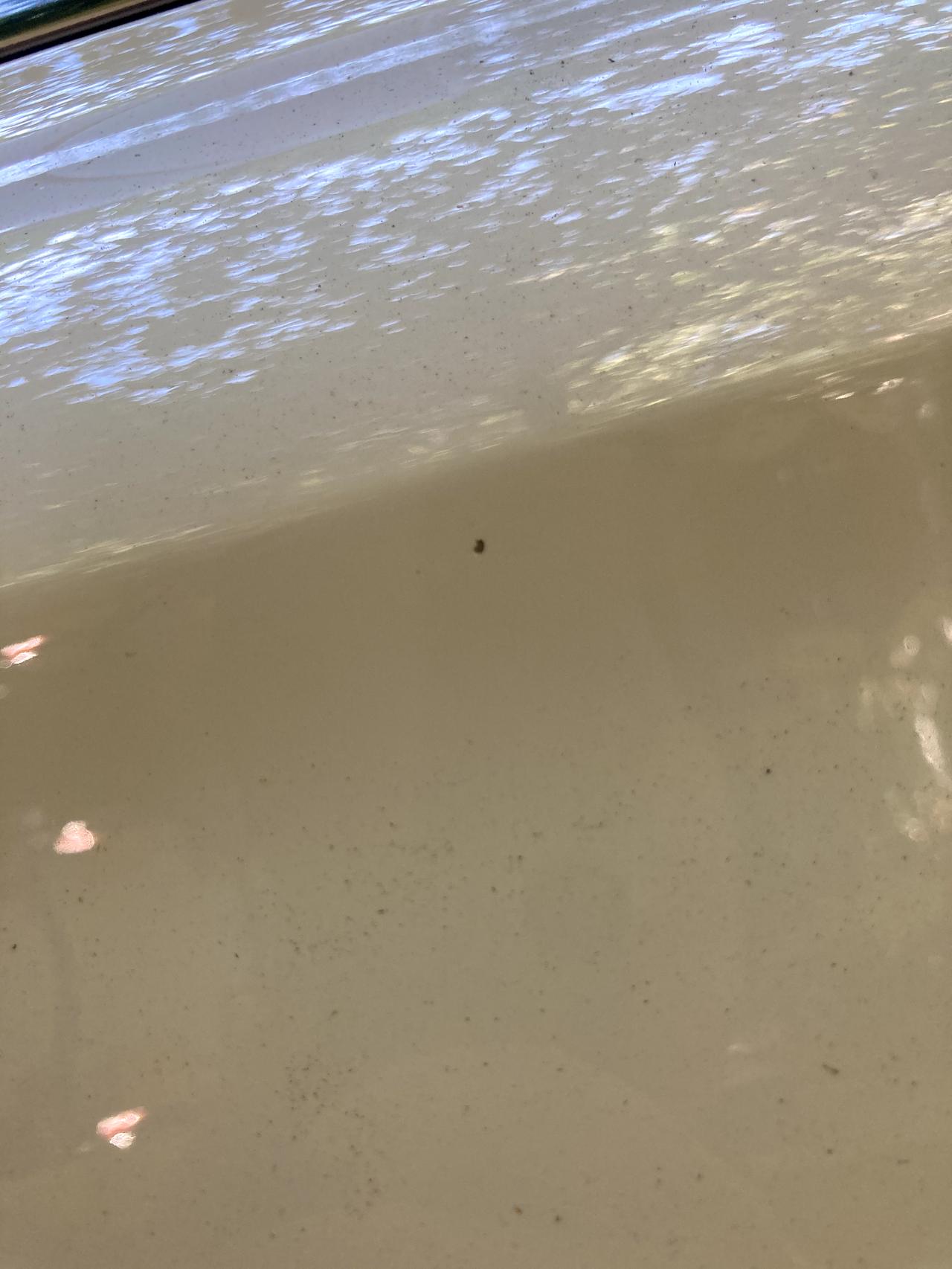 大众朗逸 有大神知道这小坑怎么形成的啊，平时无剐蹭啊，洗完车看见前门后门两个。