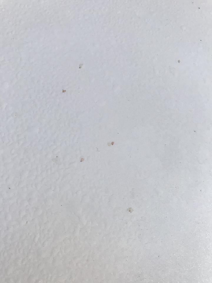 丰田凯美瑞 这个是什么呀，上次全车身都是，抛光后昨天下雨，又有了，经常停在路边。养个车真不容易。