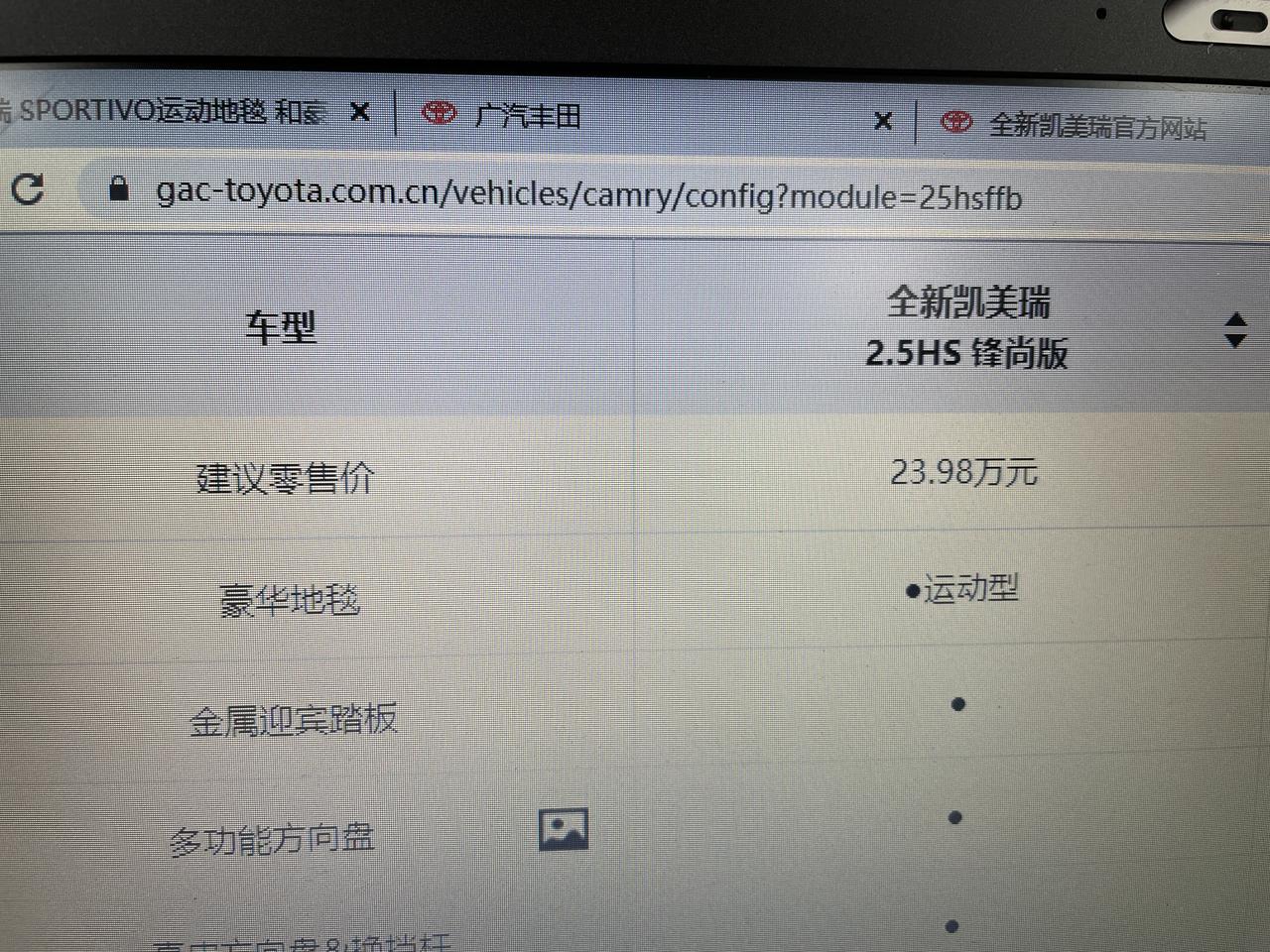 我想问一下2021款凯美瑞2.5HS锋尚版，SPORTIVO运动地毯 豪华地毯  运动型 是什么样子的地毯？