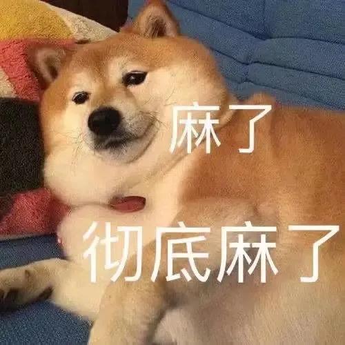 丰田凯美瑞 脚垫是选杂牌全包围好还是3w好