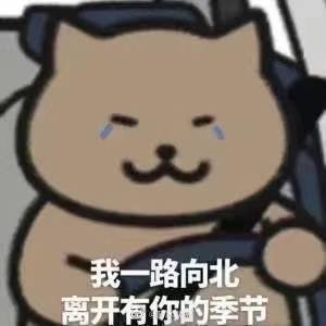 奥迪A6L 2021款的奥迪a6开了十个月了大概中控死机了六七次 正常吗
