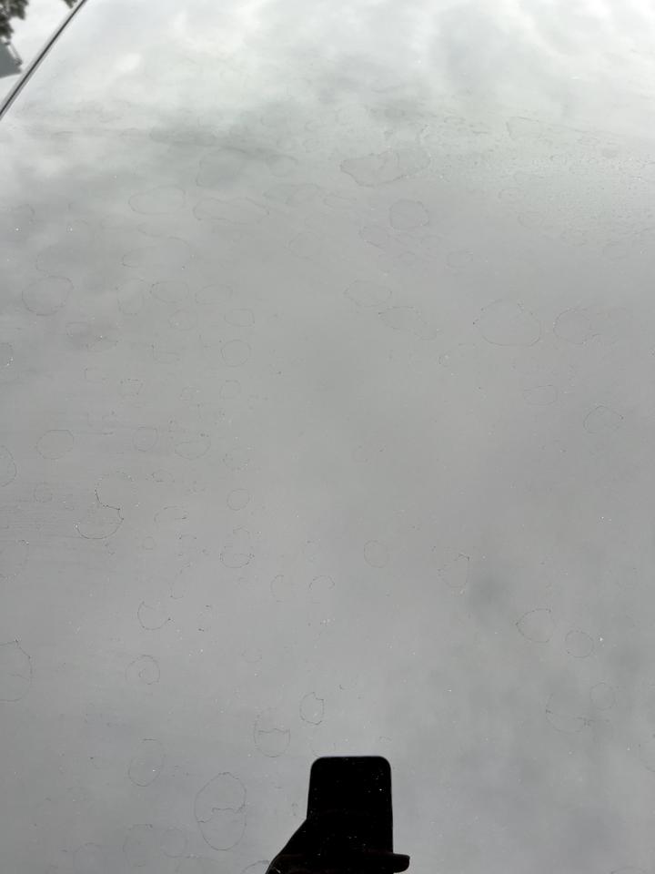奥迪A6L 车友们，洒水车上的水洒车身上了，洗了两次车没洗掉，仔细看前机盖、车顶很多，问一下怎么去除这种水渍，谢谢