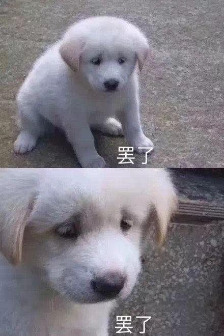 比亚迪宋Pro DM-i 是不是又要涨价了，还在看，现在就要定嘛涨价又是几千，深圳