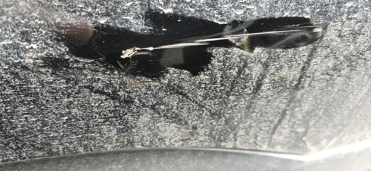 福特探险者 这补一下得多少，一个面