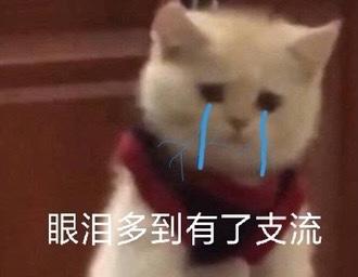 捷豹XFL 想问问捷豹xfl，结果一个销售加了微信就不回消息了，另外几个爱答不理，咱就是想问问现在捷豹xfl是有什么变动
