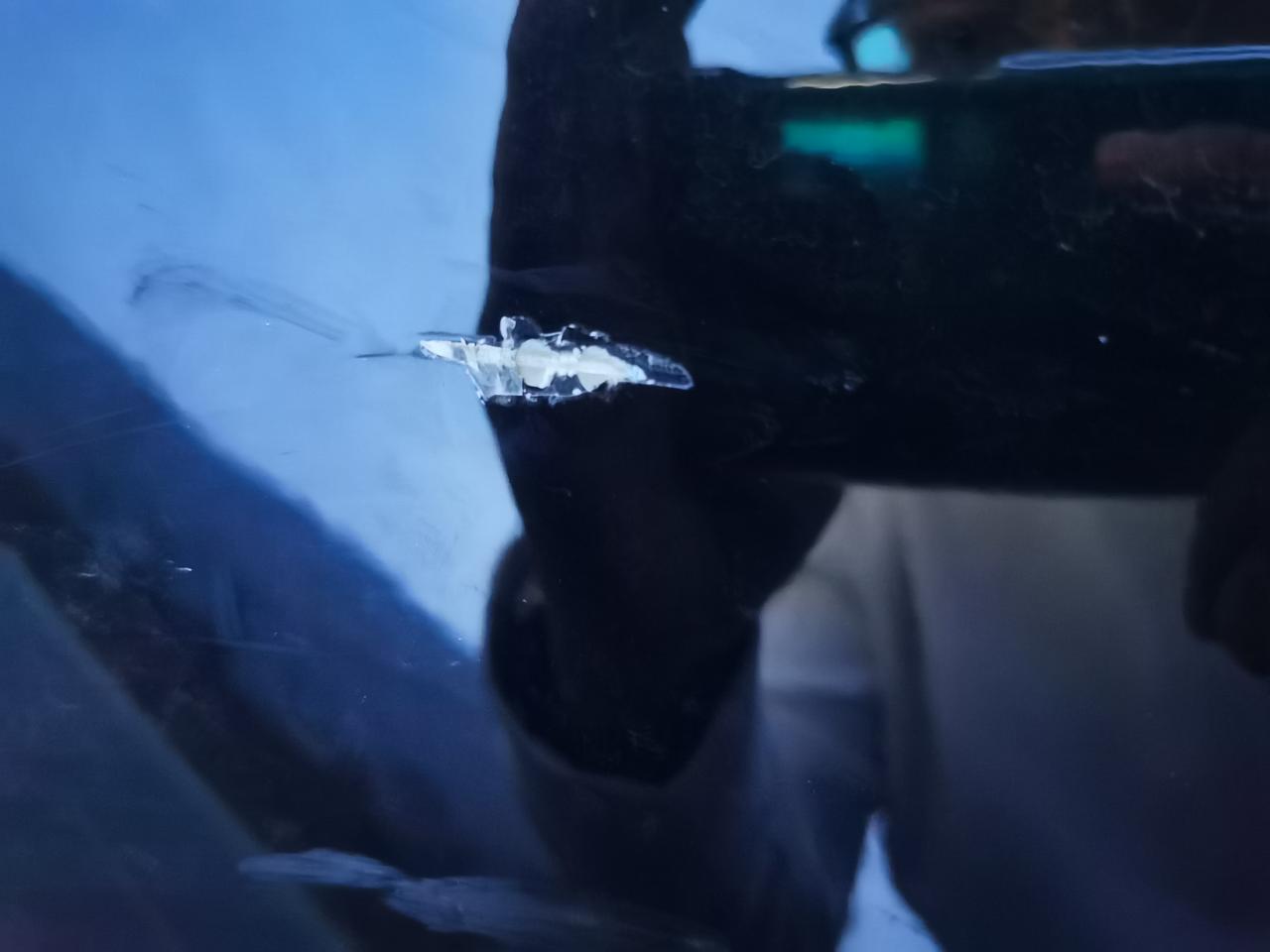 凯迪拉克XT5 凯迪拉克黛蓝色 好补漆吗 