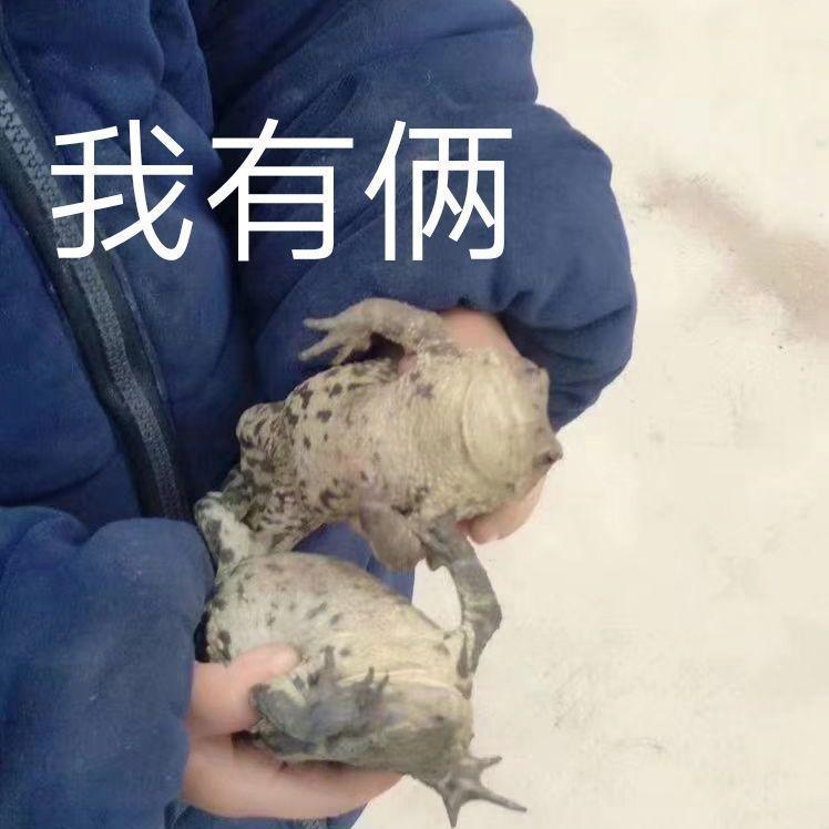 长安欧尚X5 有没有大哥做网销的，本人想提x5了