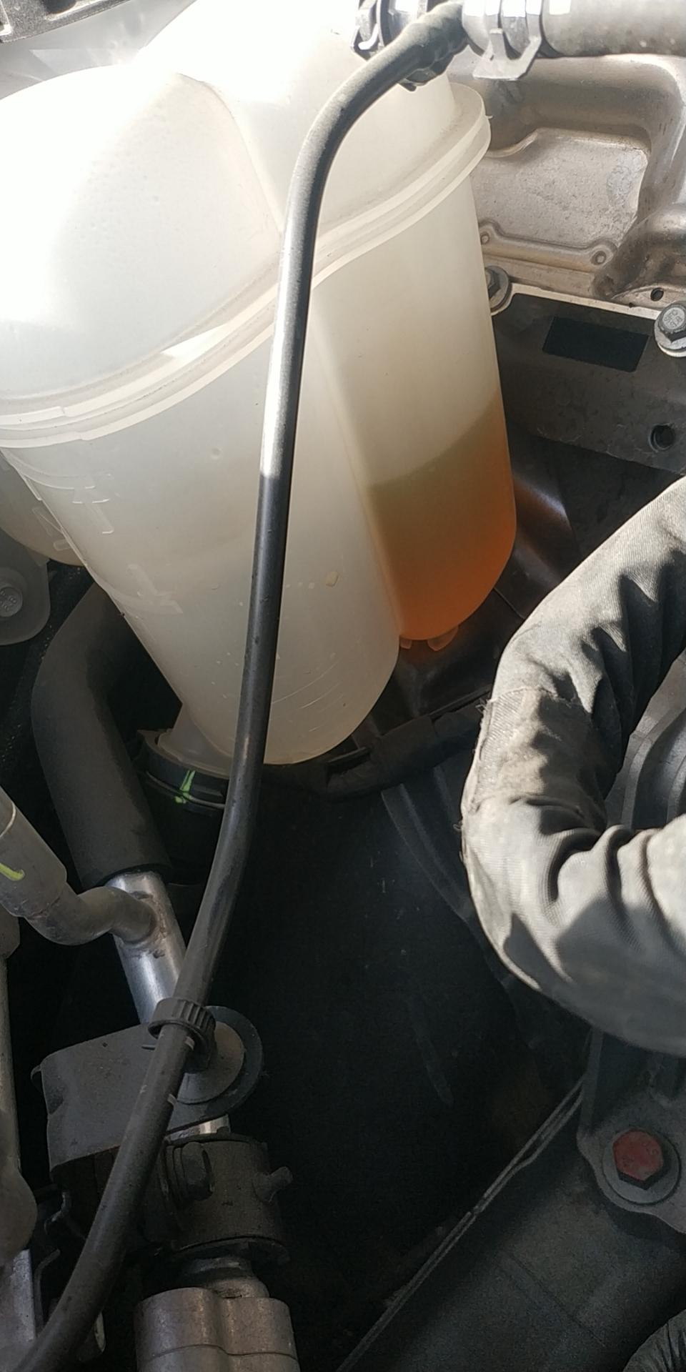 哈弗H6 你们h6烧防冻液吗   我十月保养加的防冻液  两个月时间见底了  现在也不敢开了  怎么办