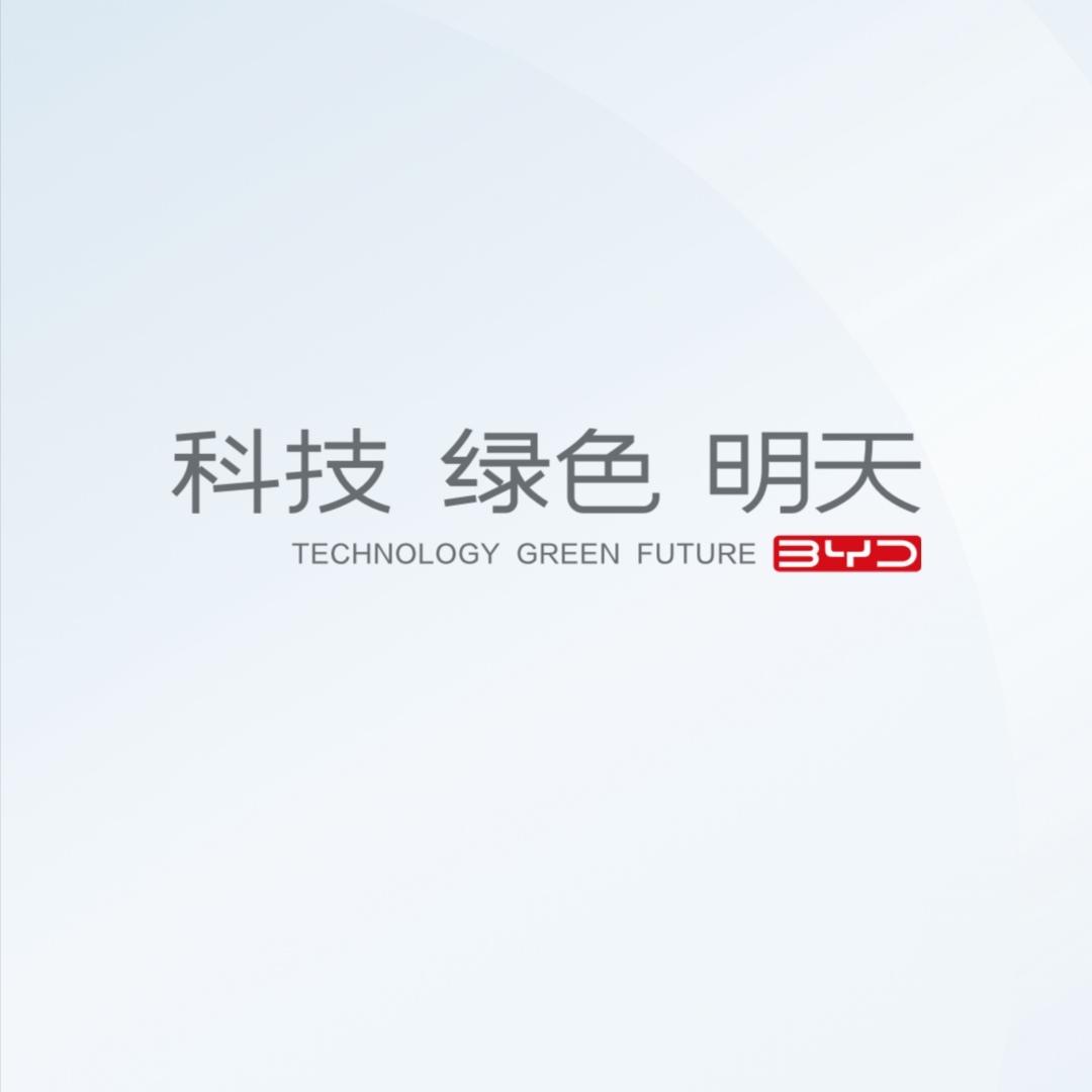 比亚迪宋PLUS DM-i 第一次买车 那买国产也是肯定的  但是没经验    我自己所在地的4二子店说订车后提车要等三