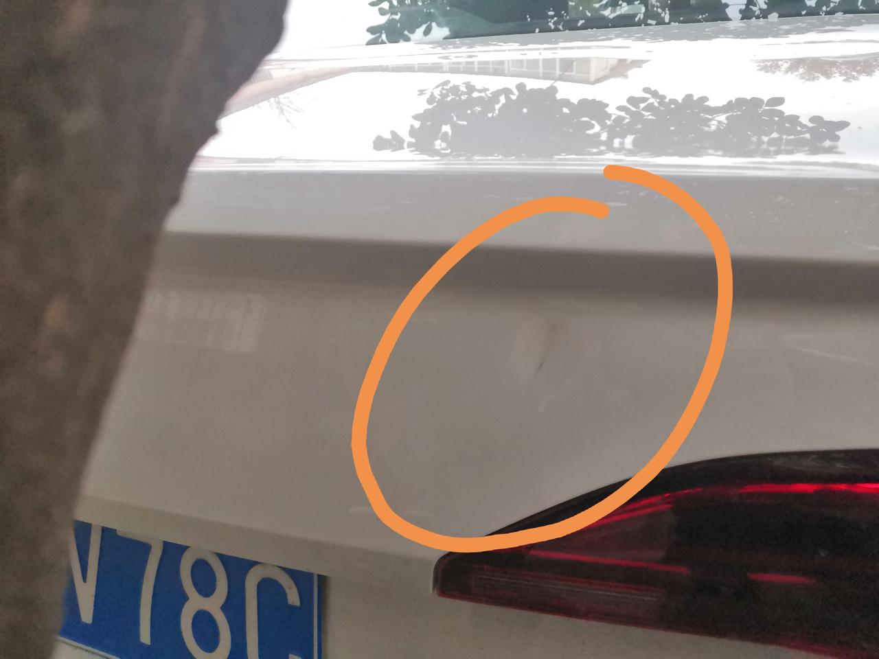 大众宝来 爱车提车一个月后备箱被树干顶了一下，挺郁闷！需要做钣金吗？