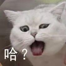 大众宝来 自动舒适有无钥匙启动吗？
