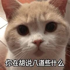 大众宝来 发动机启动的情况下，后备箱不能打开吗？试了两次，必须熄火才能打开……