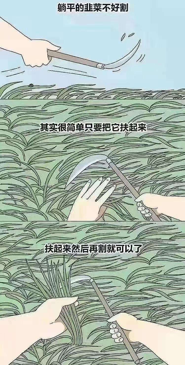 奔驰C级 020地区，请问一下各位尊贵的梅赛德斯奔驰车主，2022 改款 C260L 皓夜运动版，是不是带有那个旋转高音