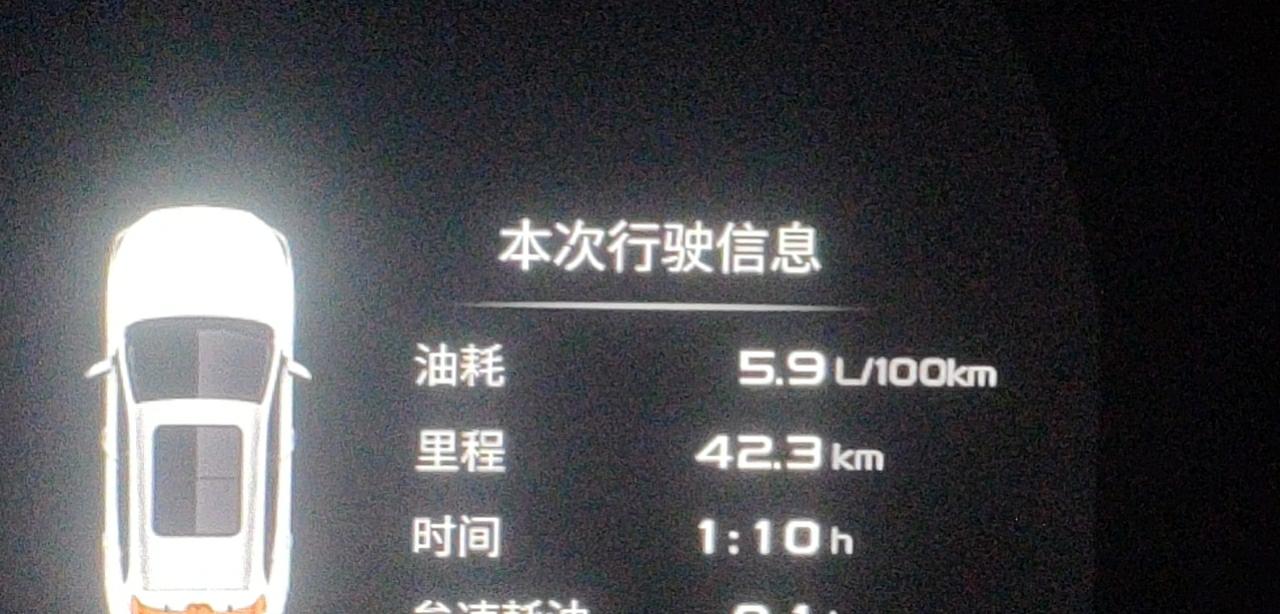长安欧尚X5 问一下你们大家    你们提车的时候有没有自己斯掉桌椅膜    我买的时候啥都没有了