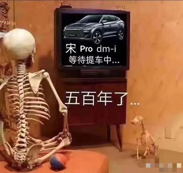 比亚迪宋Pro DM-i 去年买了个地下车位，准备装充电桩了，请问铺设宋Pro DMI的线路需要多少平方的？之前干活有一