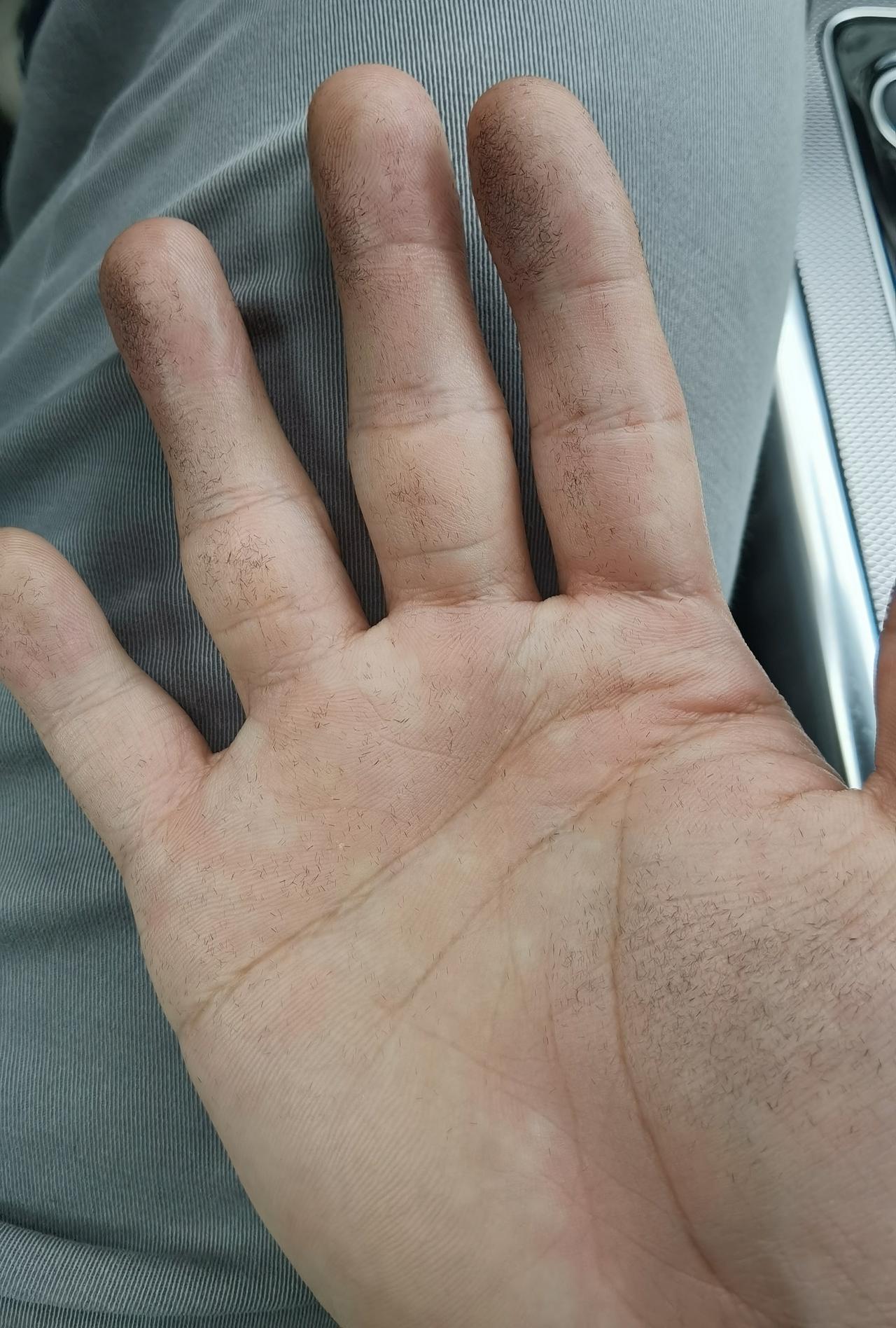 质量问题：       各位捷豹XEL的车主，我今年8月刚买的21款XEL新车，发现副驾驶手套箱里边的毛呢面内衬严重掉毛