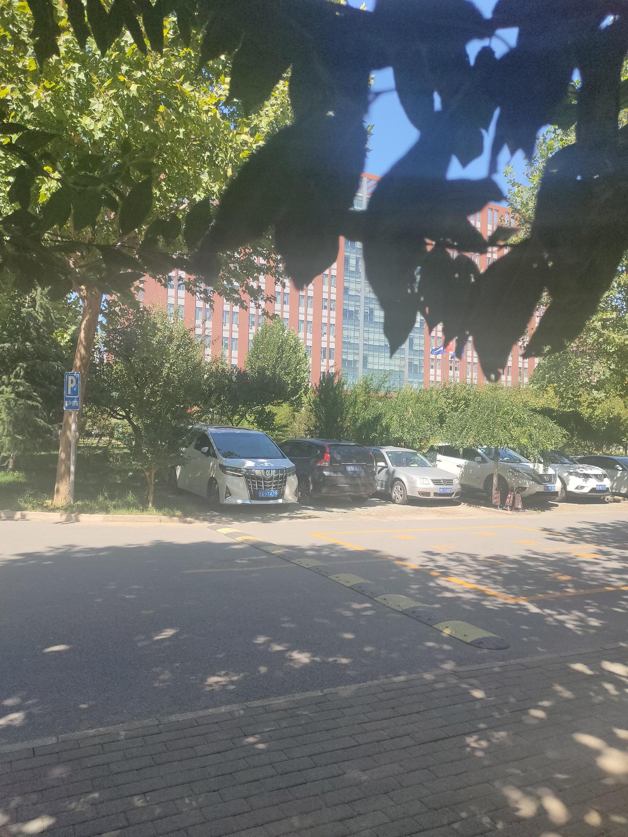 丰田埃尔法 据说这车车主见面儿都是聊你加多少钱 我加多少钱是真的吗 ？