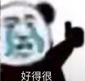 奥迪A6L PHEV 有没有老哥按了充电桩，不是按的那种墙盒，能告诉一下是啥样的吗？想看看多加五百块的充电桩是啥样
