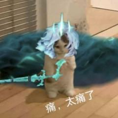 捷豹XFL 6800选音响要等多久