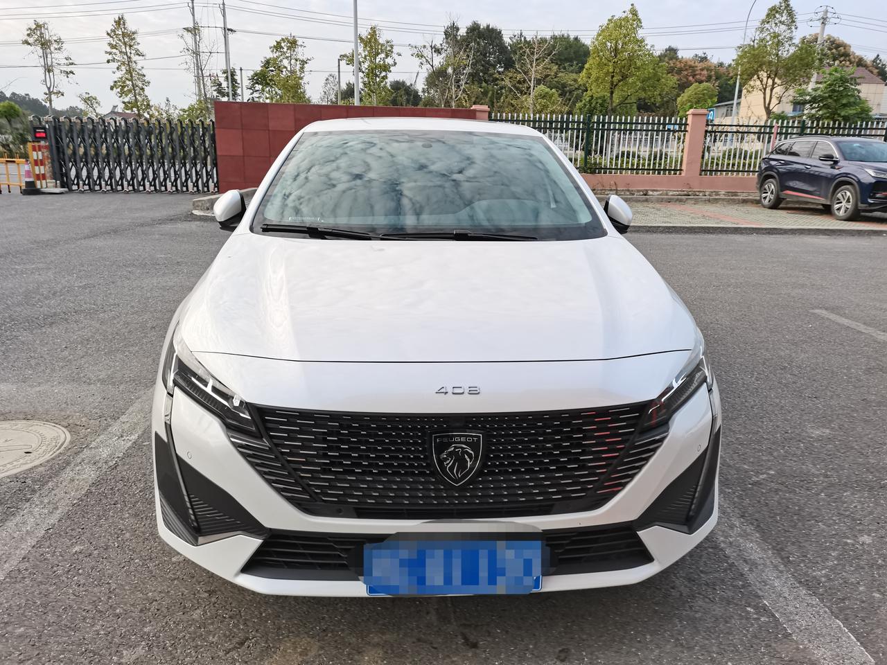 标致408 新408可以刷，挂倒挡后视镜自动下翻吗，自动启停可不可以刷永久关闭
