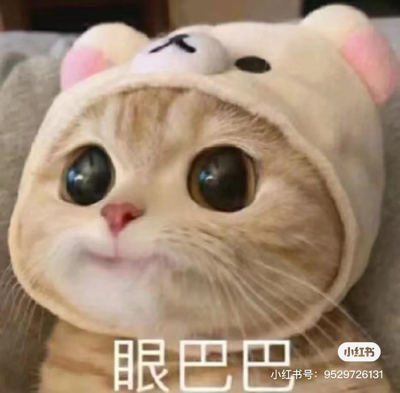 大众T-ROC探歌 下车开门的时候阅读灯为啥不会亮？晚上好暗呀，要怎么亮？