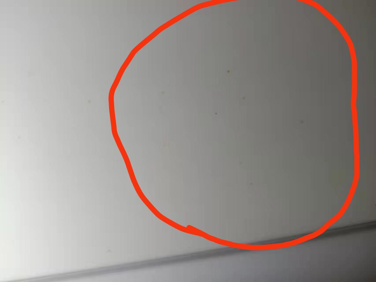 大众朗逸 刚提的新车不到一个月，车身表面出现小小黄点又有点像生锈一样，请问是怎么回事啊。