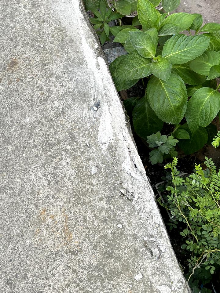 马自达3 昂克赛拉 地盘被刮了问问老司机们有问题没？刚上完牌回家，老小区倒车右前轮落坎下面去了 地盘被刮了