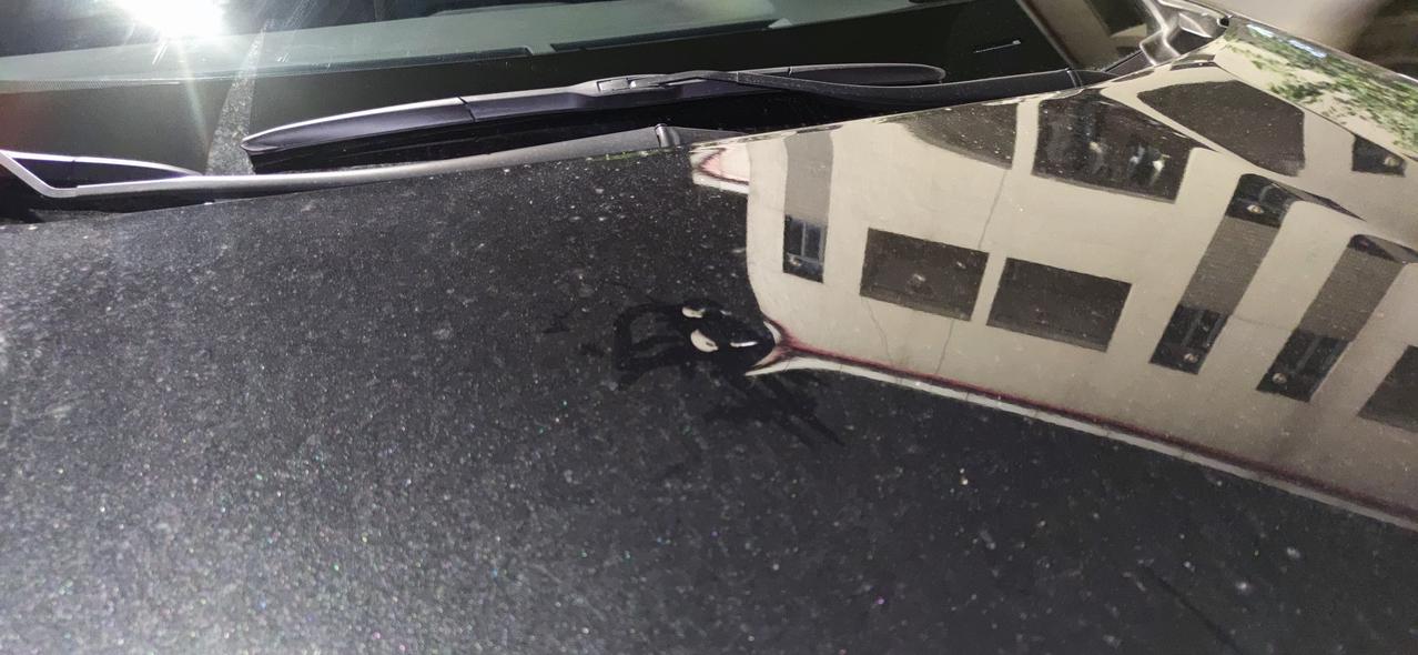 丰田RAV4荣放 大家帮忙看下  我的车发动机盖被砸了几个小坑怎么修复最好