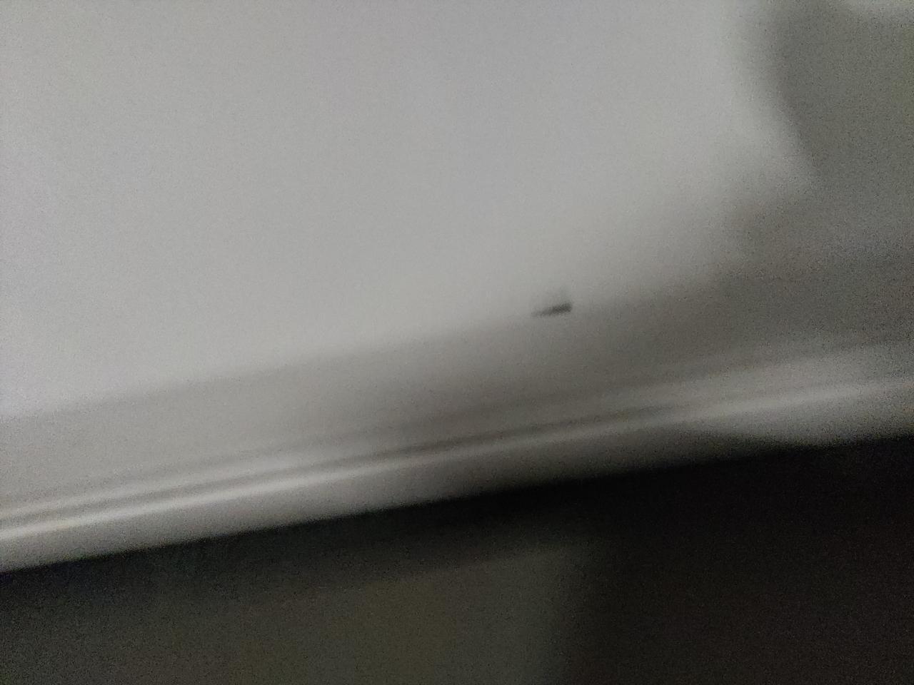 马自达3 昂克赛拉 兄弟们，这种是不是需要去补漆了，感觉铁漏出来了