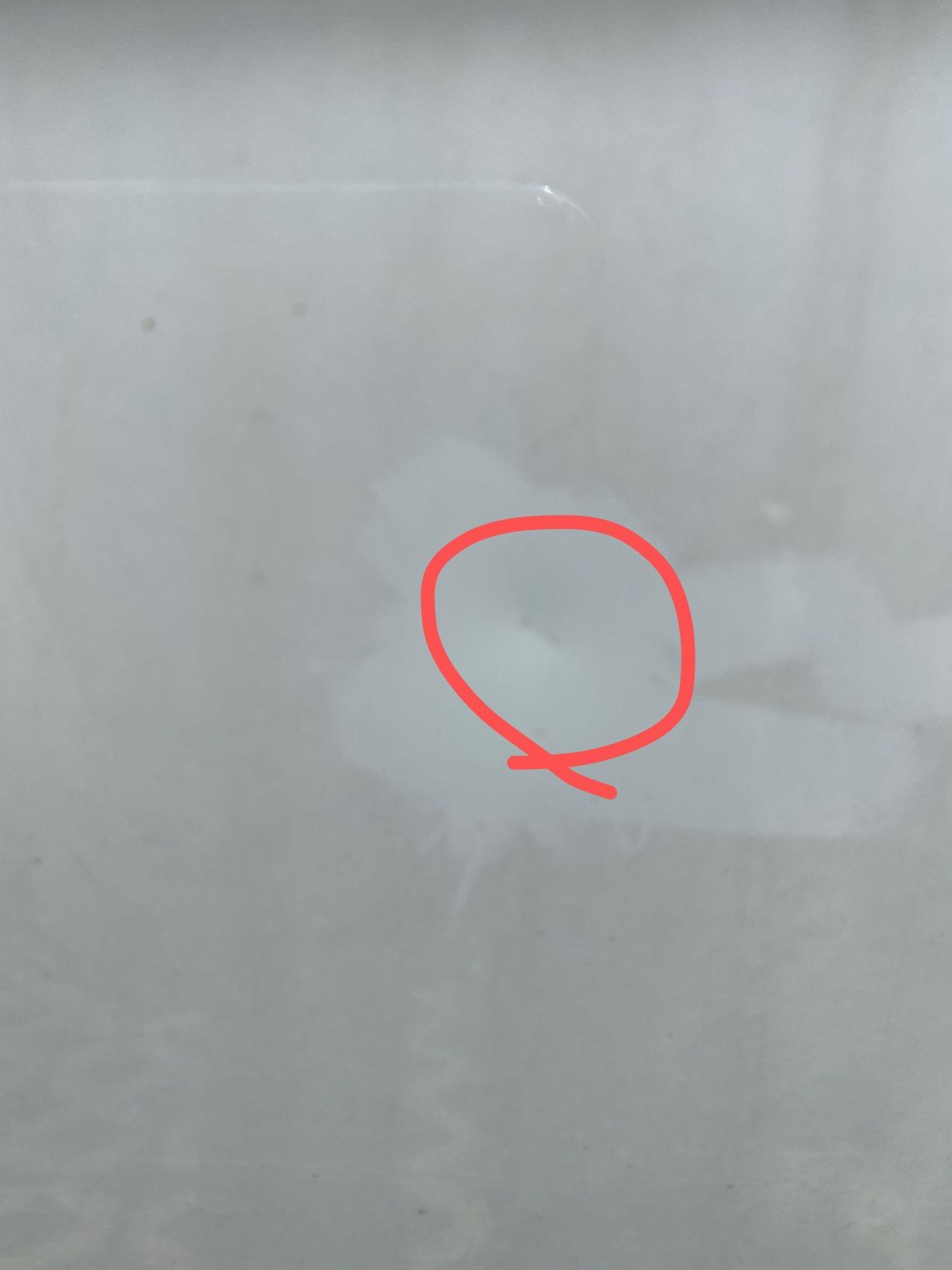 大众CC 老哥们 这个是在路上跑着被石头砸了的吗