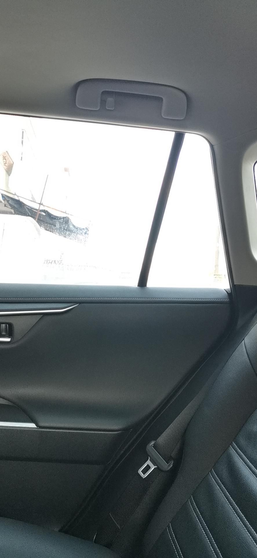 丰田RAV4荣放 21款荣放副驾驶后门一走小凹凸的路就会哒哒哒的异响大概在c柱和后玻璃这里，有一样的异响的吗快要烦死了