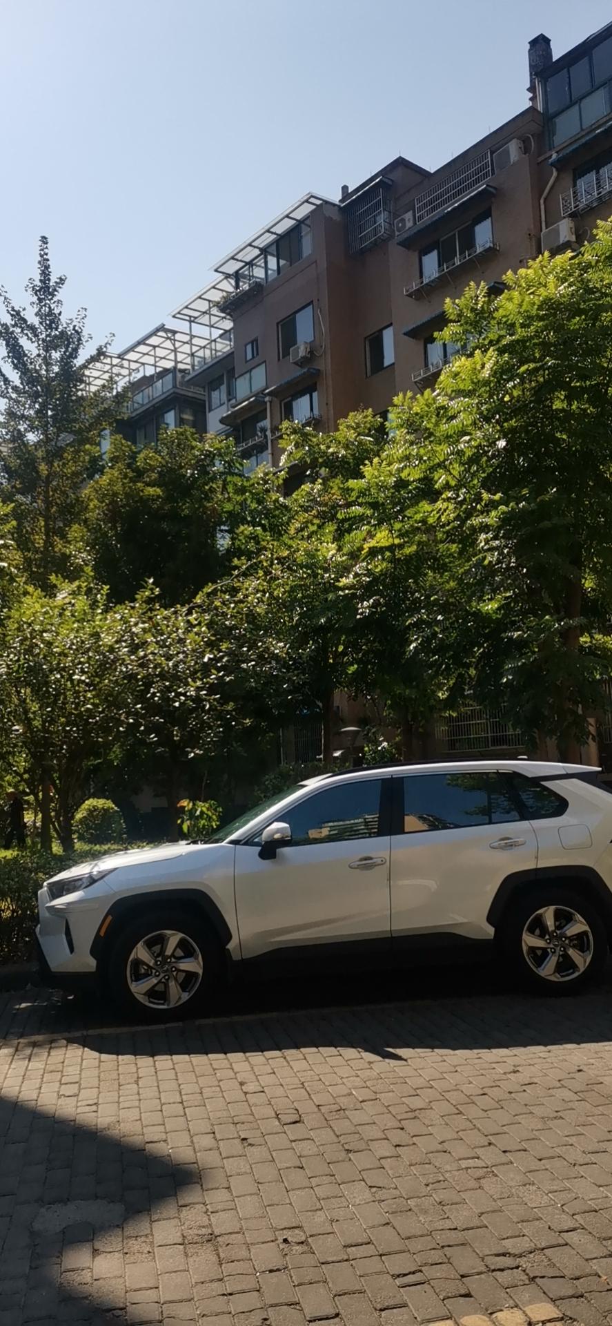 丰田RAV4荣放 荣放风尚p版之保费，请问一下，去年九月购入的荣放2驱风尚p版，全年没有出过险，保费即将到期，有没有己经