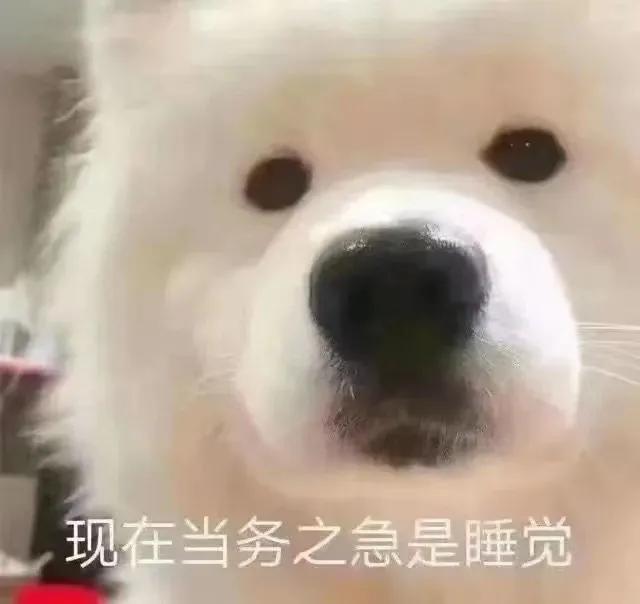 丰田雷凌 各位懂车帝，想问下现在续航还有198公里，想跑高速来回160，还跑的到么，会不会半路要加油了，现在油耗4.8。