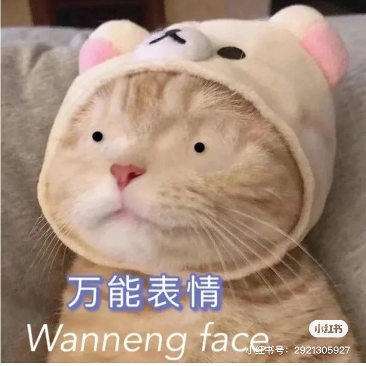 马自达3 昂克赛拉 大佬们，马自达3还是思域