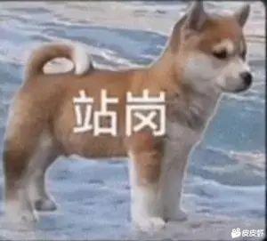 马自达3 昂克赛拉 老款塞拉能改定速巡航吗大概多少钱勒