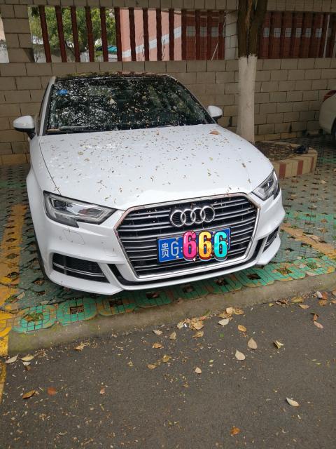 奥迪A3 白色还是灰色太纠结了 灰色外面少，但感觉配银色中网有点老气哇