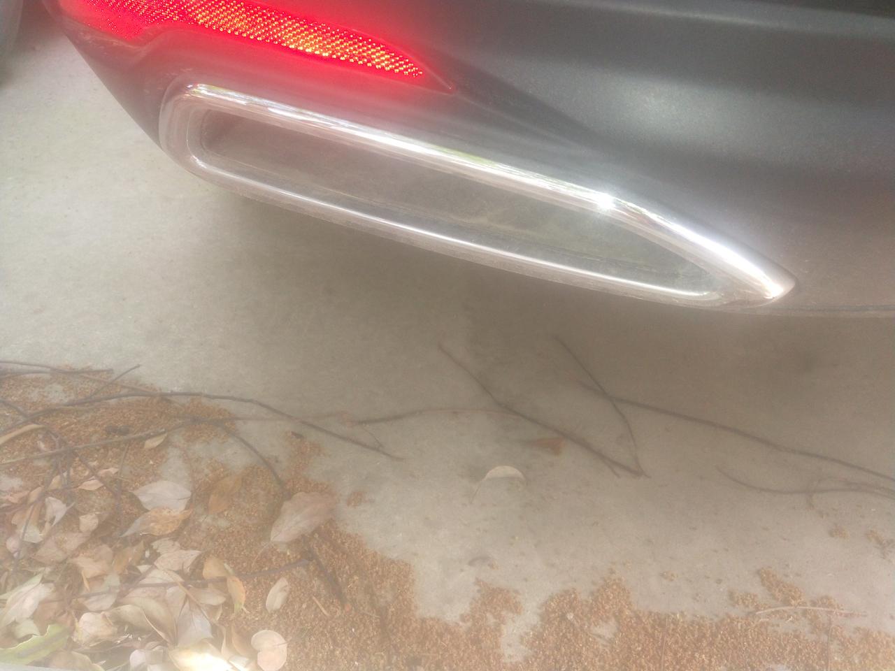 雪佛兰迈锐宝XL 后杠尾喉亮条掉一个  请问大哥们在什么地方可以买吗  一个多少钱