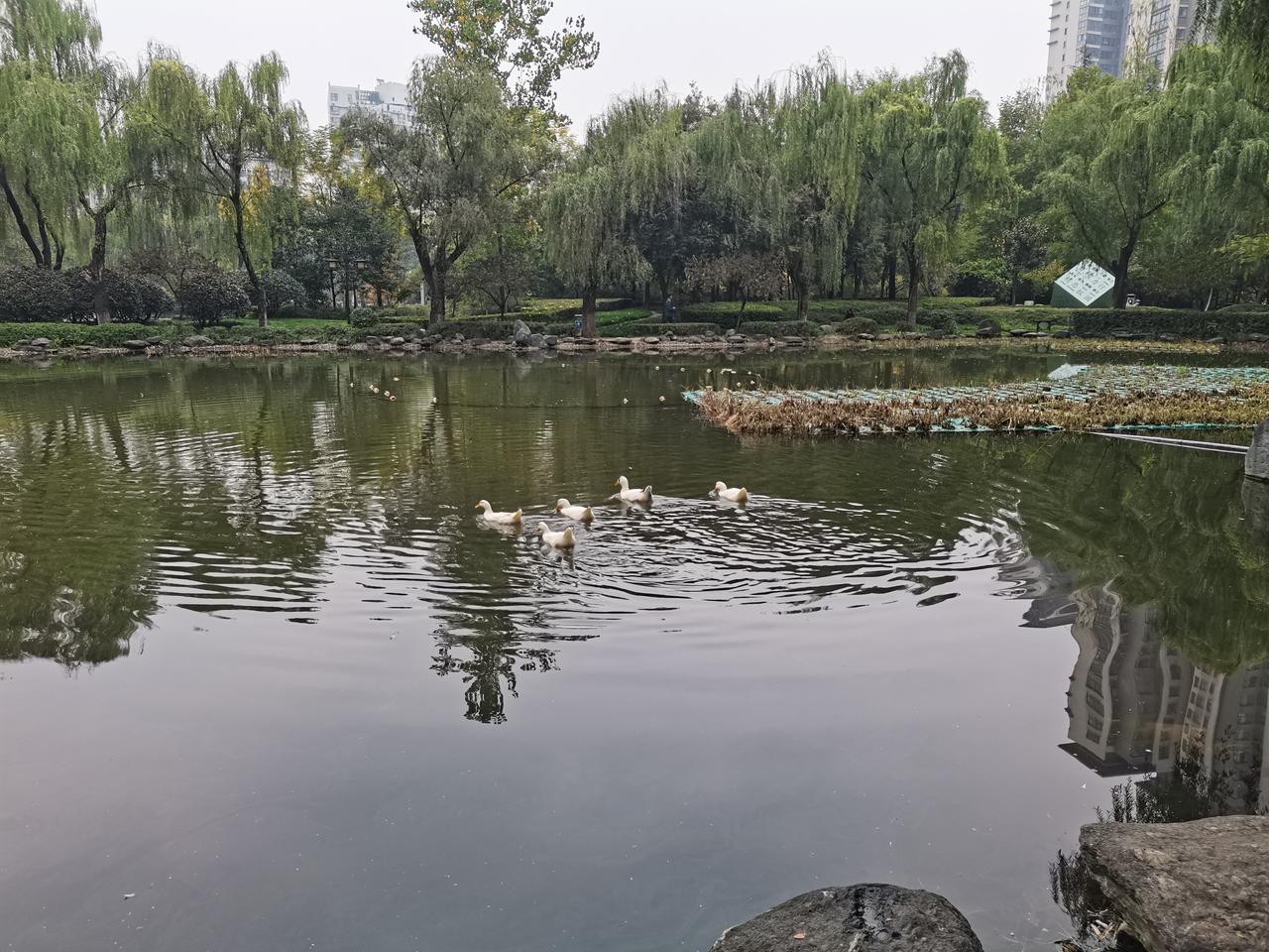 标致4008 请问大家多久保养一次，我平时就上下班开，开了一年差不多7500公里，这样的话，一年保养一次，可以不？