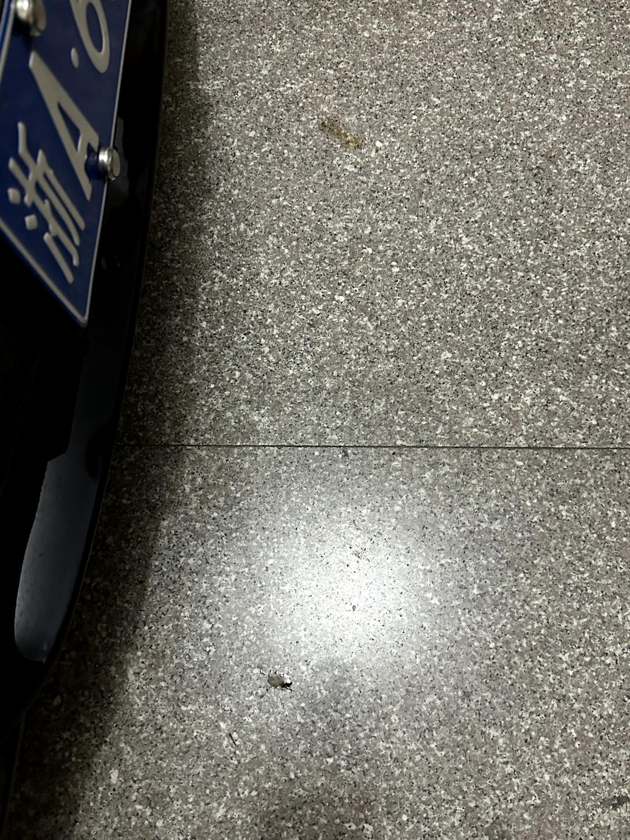 宝马5系(进口) 21款宝马525i 现在有8千多公里 停车后发现车头下面有几滴油是什么情况 刚做过首保