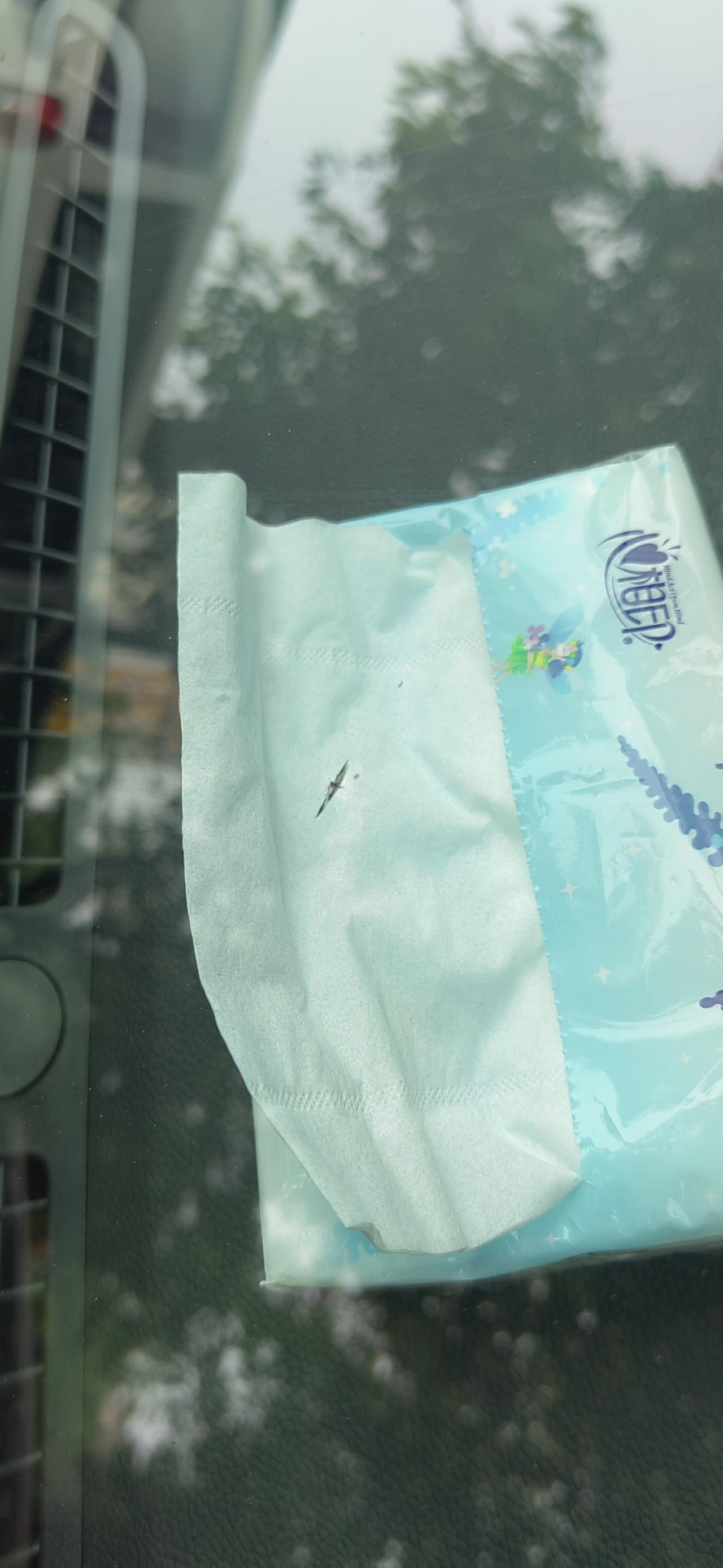 奇瑞艾瑞泽5 PLUS 前挡玻璃破了！有没有同款遭遇的车友呀？你们怎么解决的！我这不知道好久遭了的。