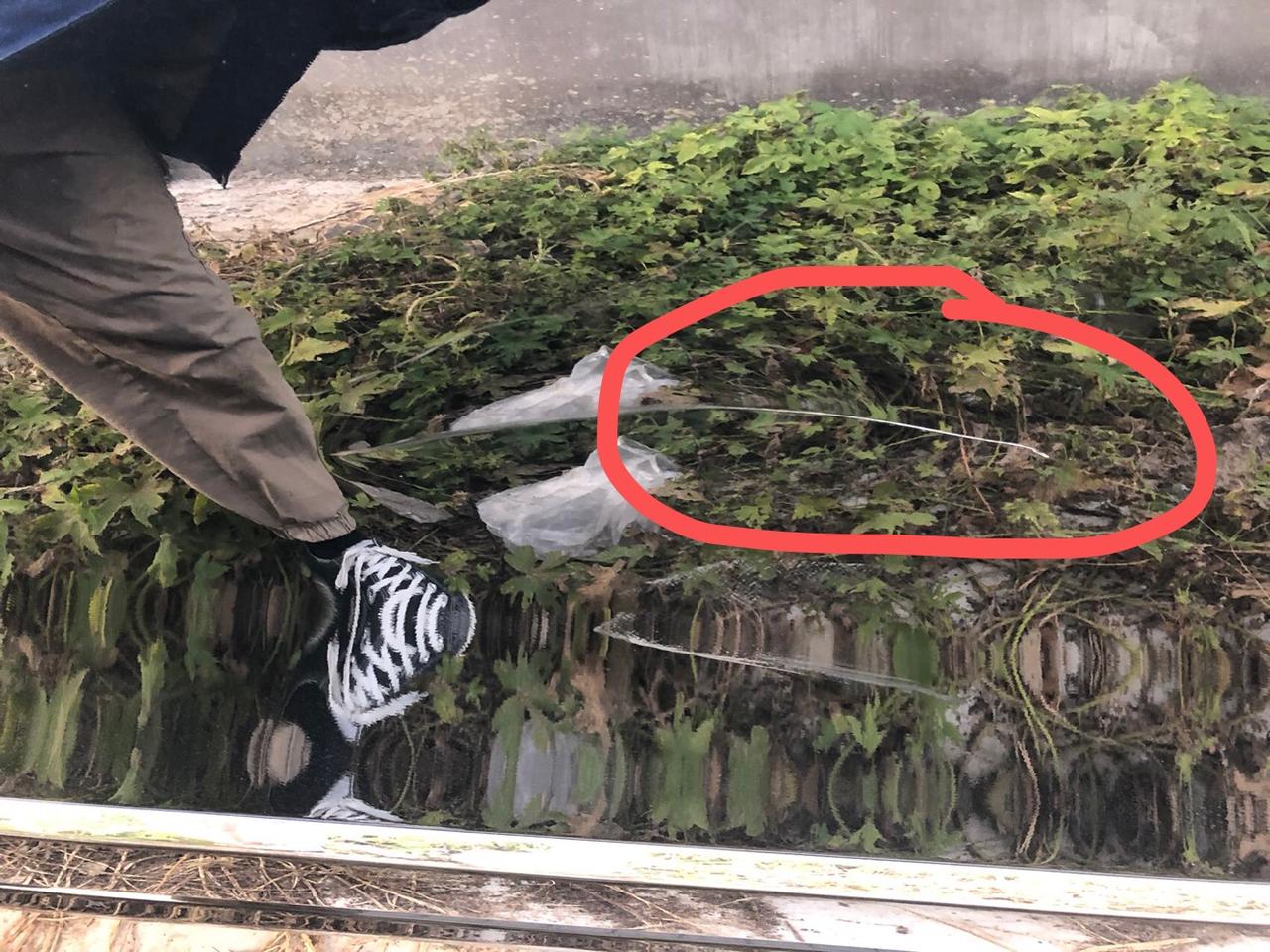 福特金牛座 我的后车灯下面倒车太快倒车影像还没有打开撞到消防栓上了，凹进去了，侧面车门这个位置是晚上不知道从哪里窜出来一