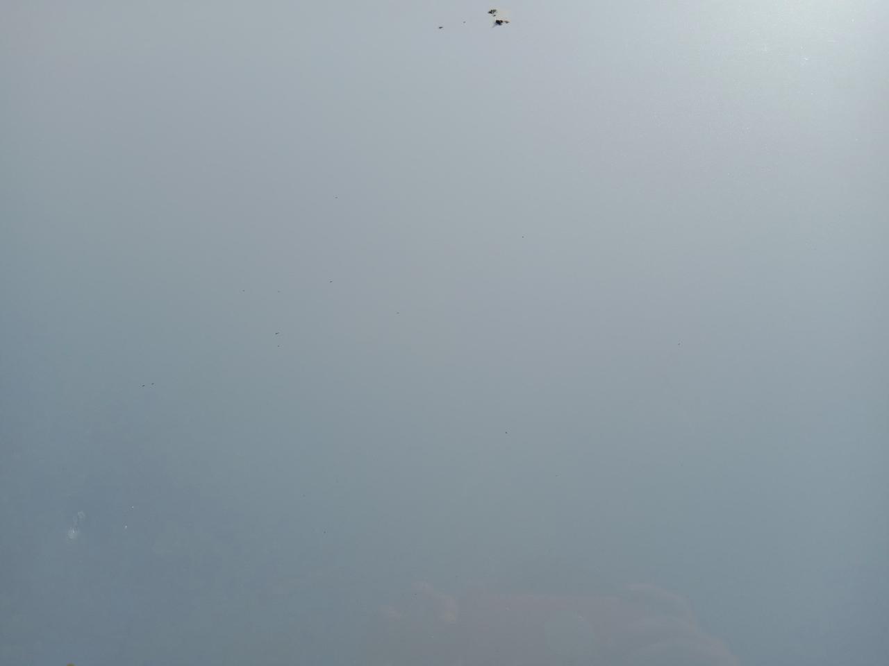 马自达3 昂克赛拉 前两天车停公园免费停车位，被那个小孩或大人故意用什么东西，把前引擎盖上划了几道印子，没伤到底漆，不明